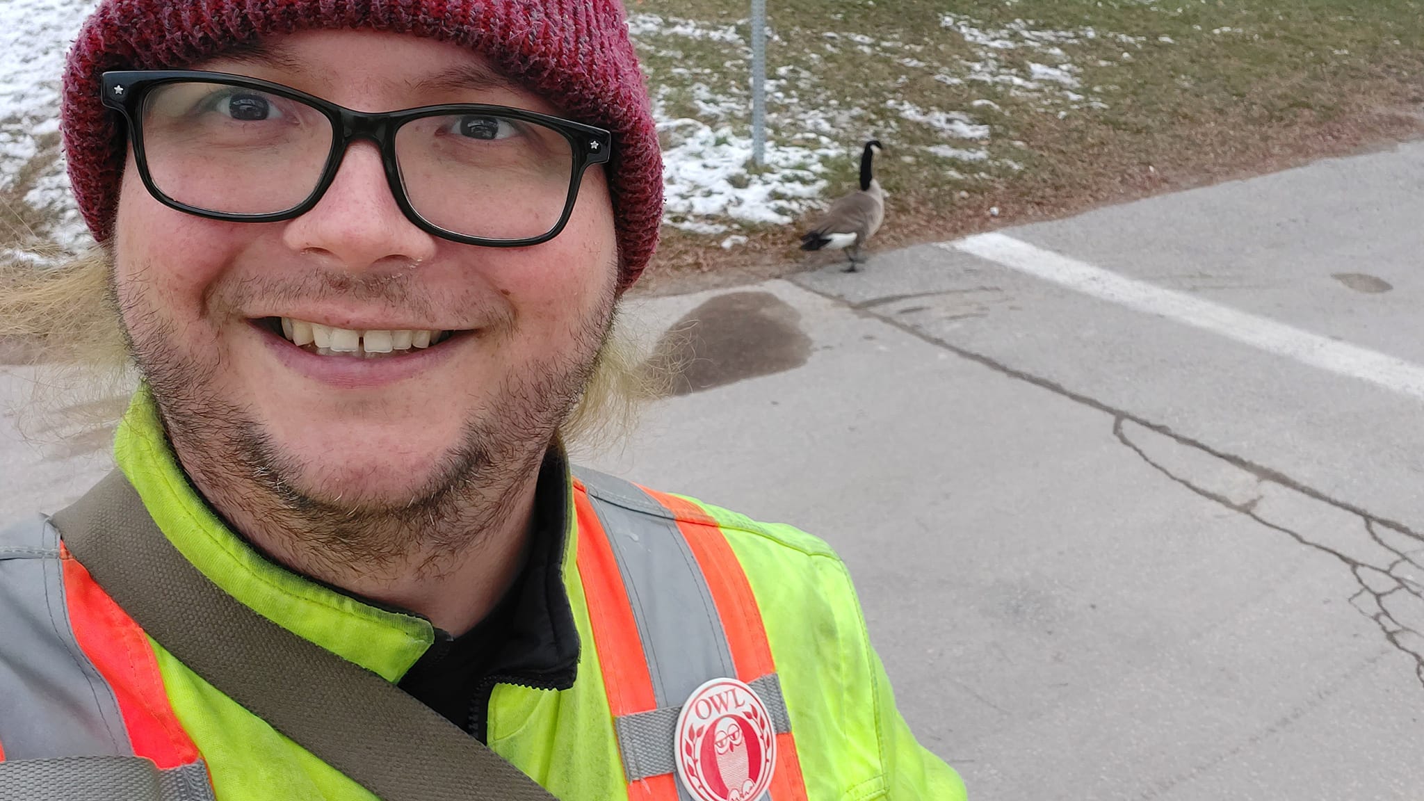 A man wearing a red toque and a high visibility winter coat stands in front a Canada goose, which is calmly walking down the sidewalk